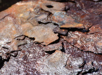 Car wash corrosion problems